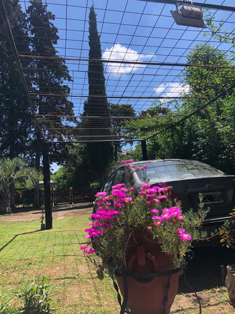 Ezeiza Quinta Cedro Azul 10 Min Del Aeropuerto Villa Bagian luar foto